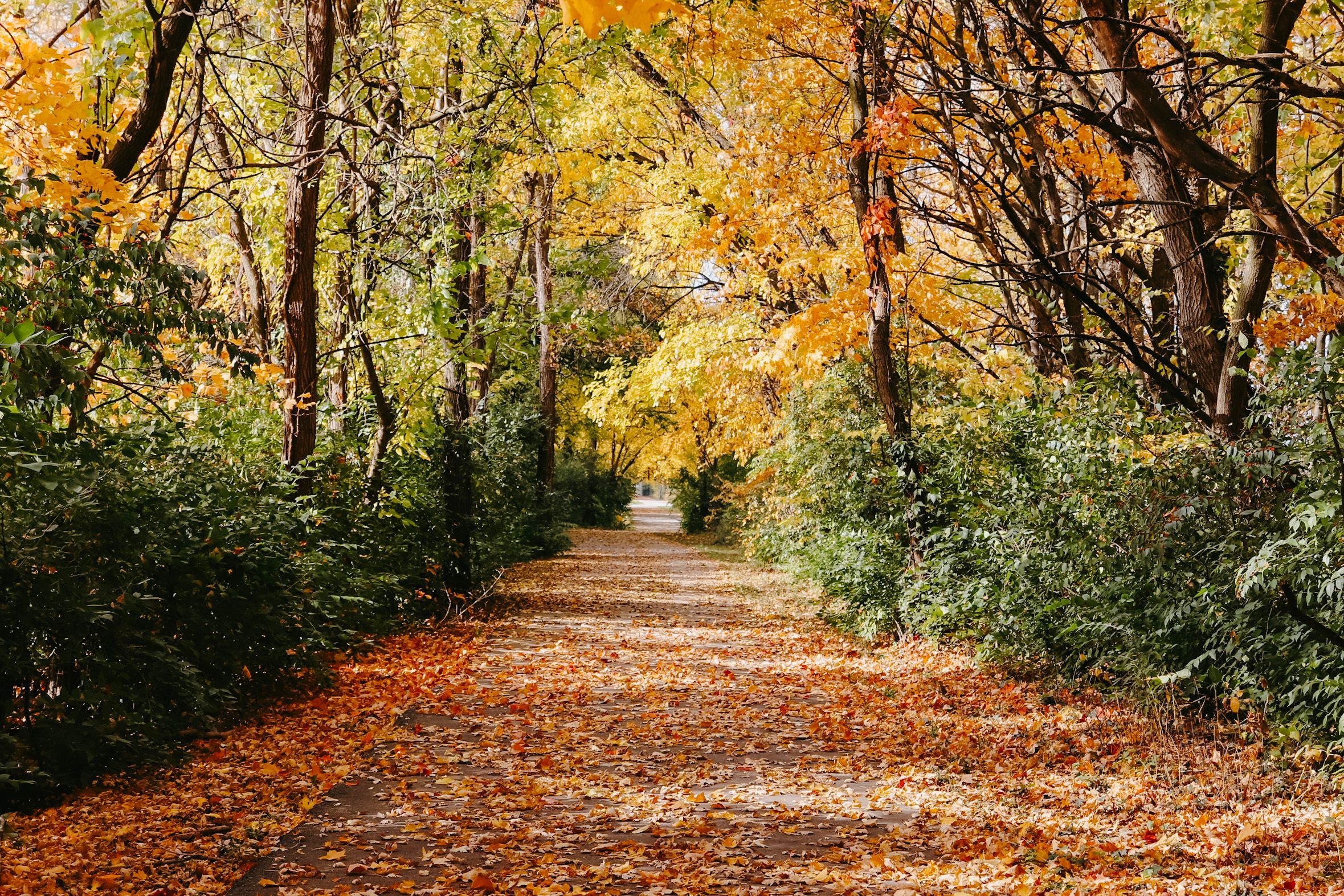 Life in Whitestown, Indiana