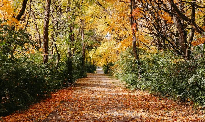 Whitestown Nature (Credit: Town of Whitestown) 