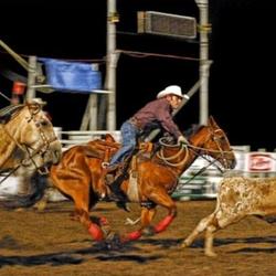 Watch riders from across the Central Plains Region showcase their skills at the K-State Rodeo