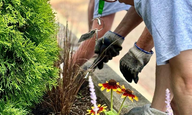 Downtown Clean Up Day (Credit: Discover Downtown Danville)