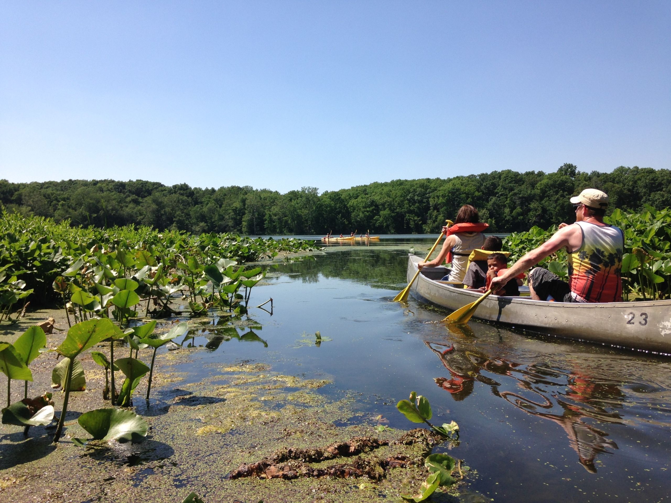 Life in Albion, Indiana