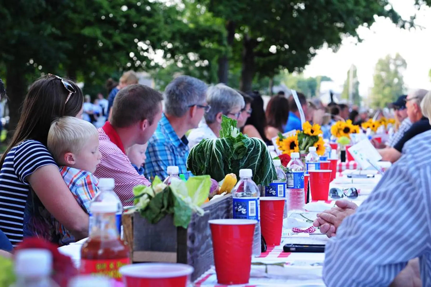 See why people "Pick Perry!"