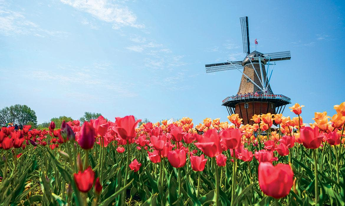 Life in Holland, Michigan