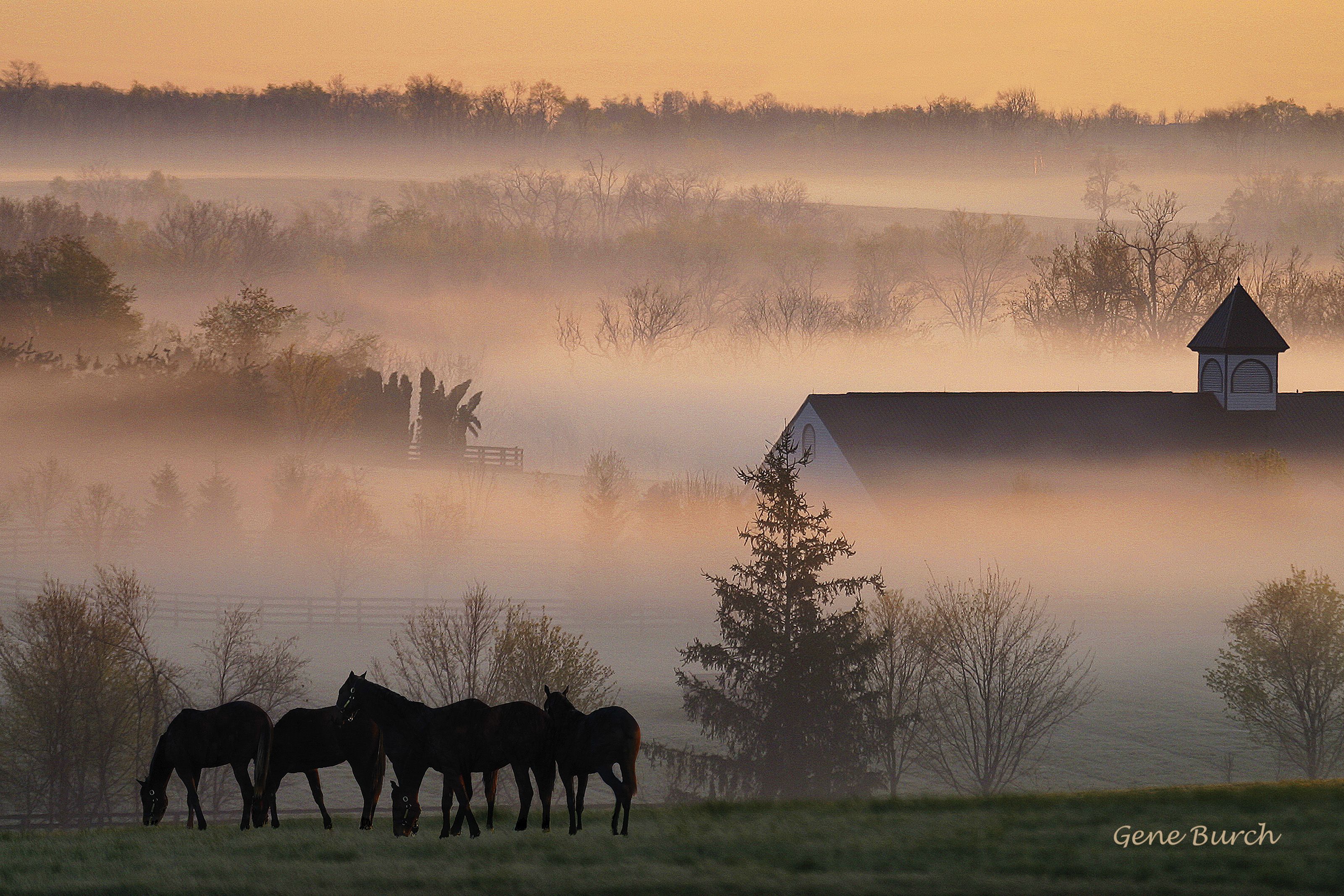 Life in Frankfort, Kentucky