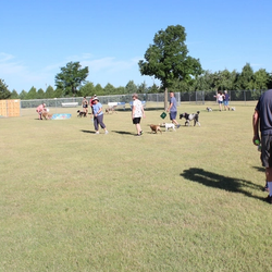 Calling all doggos! Check out Tails a Waggin Dog Park at 711 West Ash Oberlin, KS