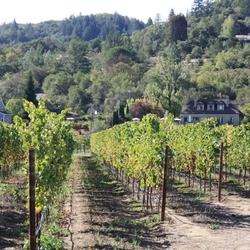 Whyte Horse Winery and Vineyard