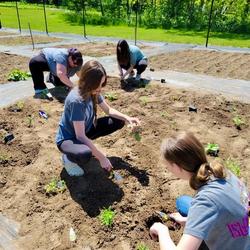 Community Garden and Planting Season