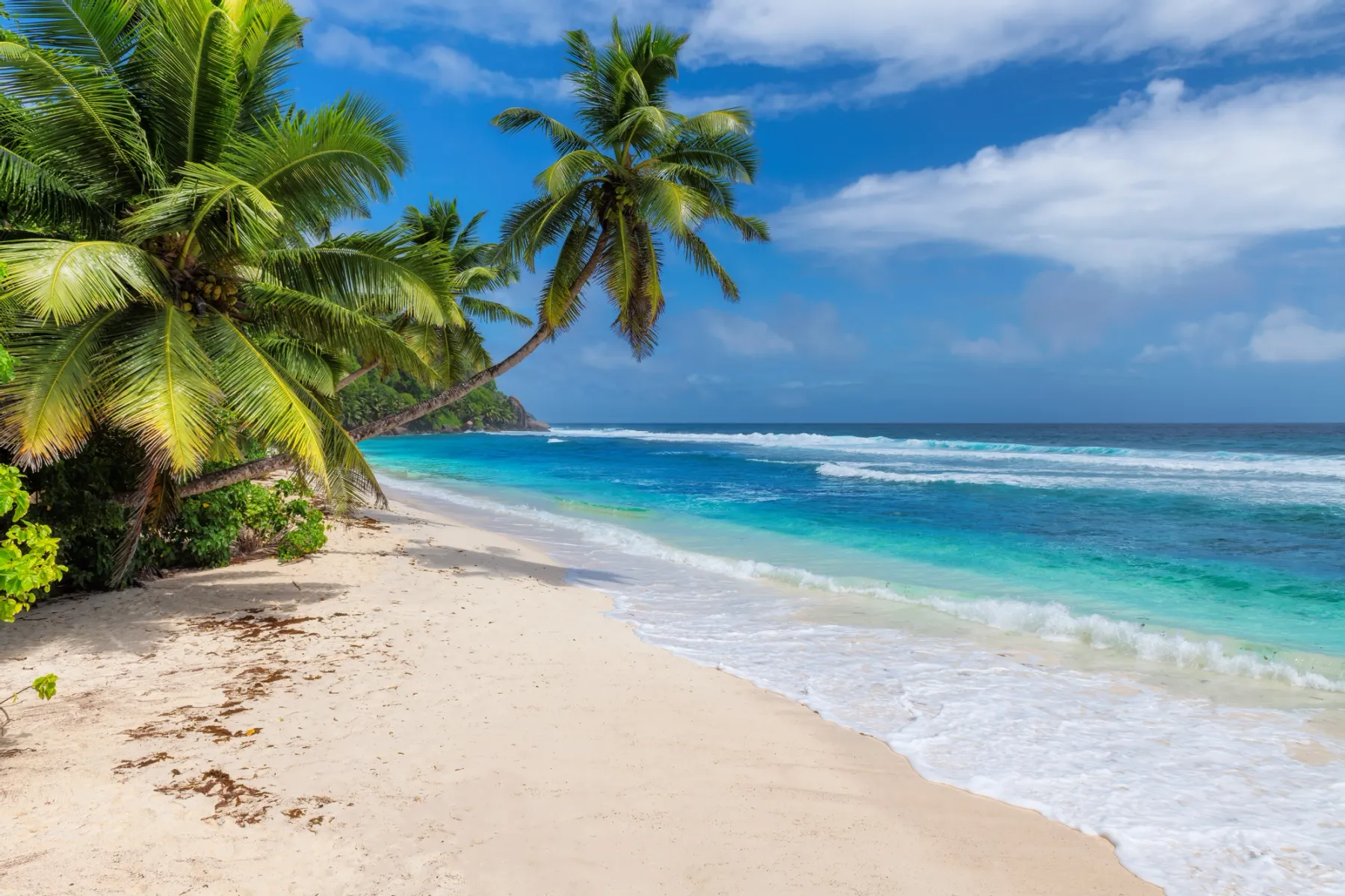Get paid to live in Hawaii