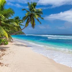 Get paid to live in Hawaii