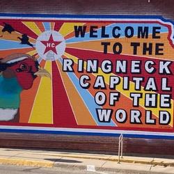 Graham County is the "Ringneck Capital of the World!"