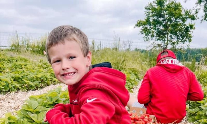 Picking strawberries in the summer (Credit to Enjoy Jefferson County Wisconsin Tourism Facebook Page)