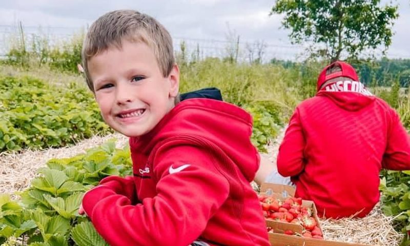 Picking strawberries in the summer (Credit to Enjoy Jefferson County Wisconsin Tourism Facebook Page)