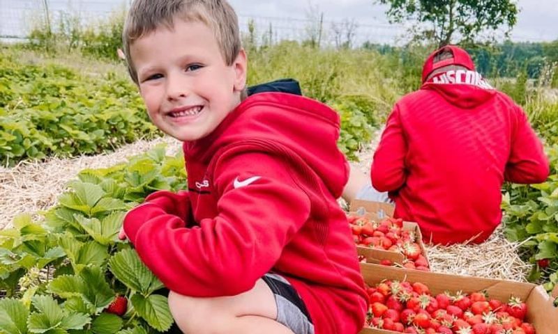 Picking strawberries in the summer (Credit to Enjoy Jefferson County Wisconsin Tourism Facebook Page)