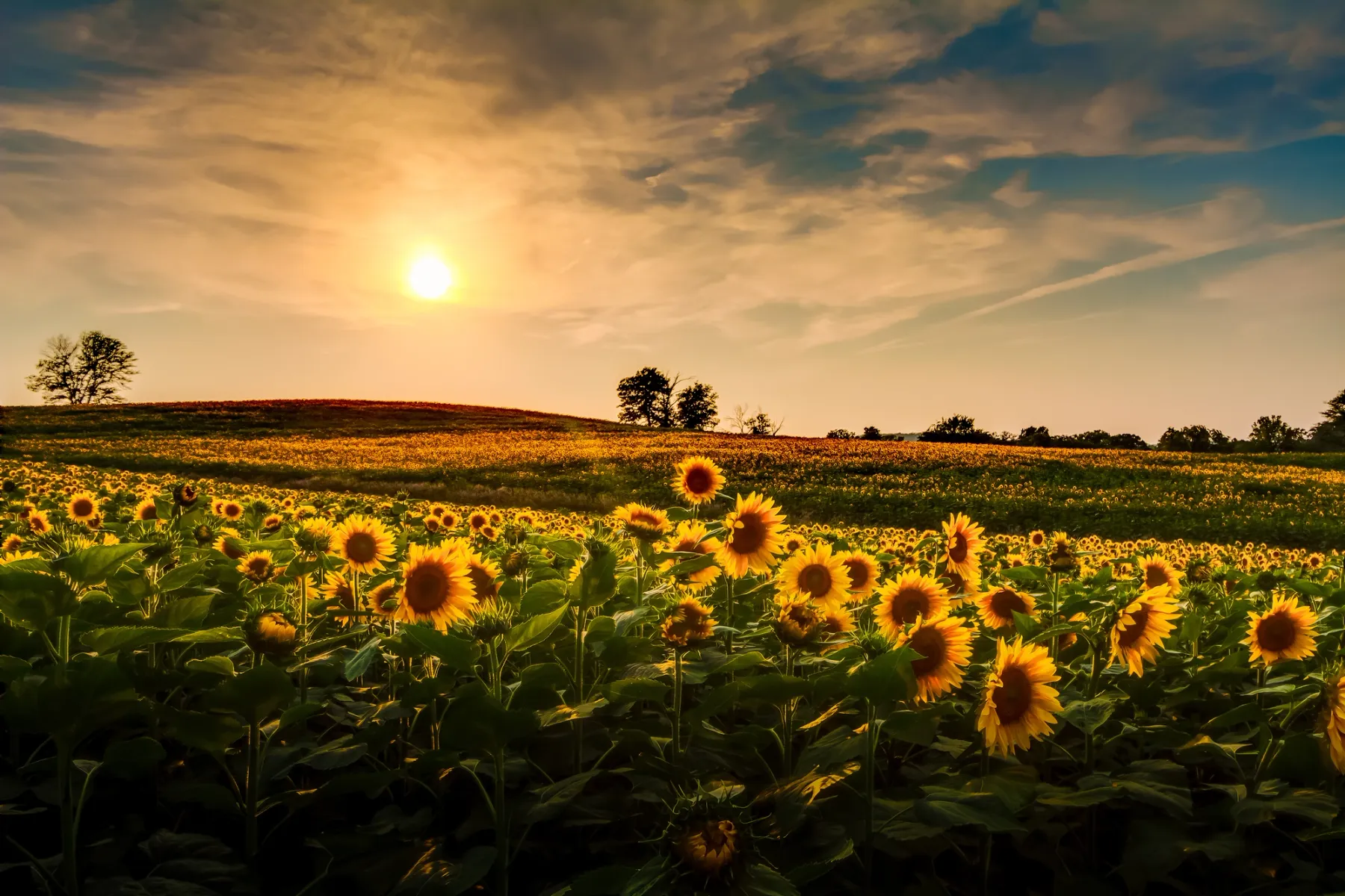 Get paid to live in Mankato, Kansas