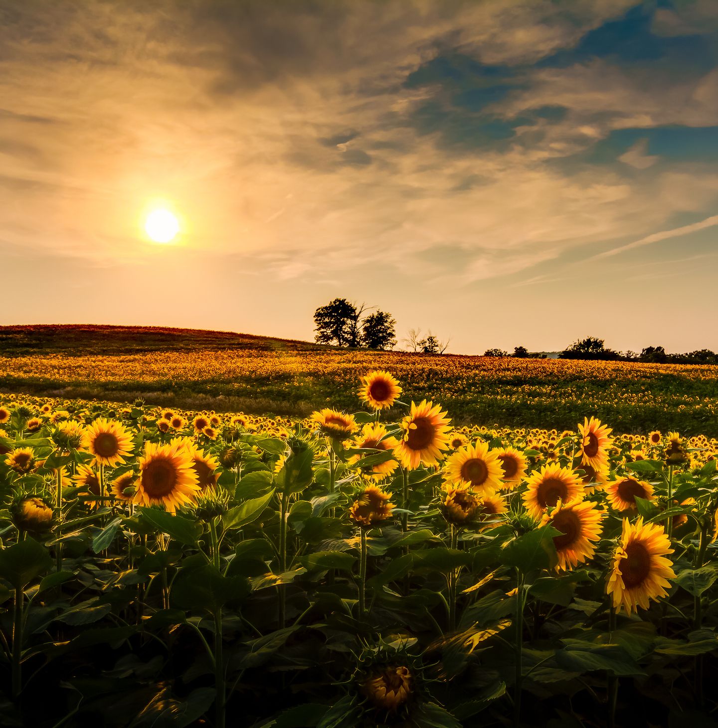 Get paid to live in Mankato, Kansas