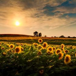 Get paid to live in Mankato, Kansas