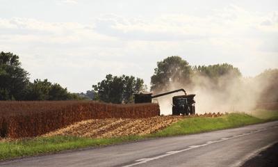 Harvesting Corn in Late Summer 