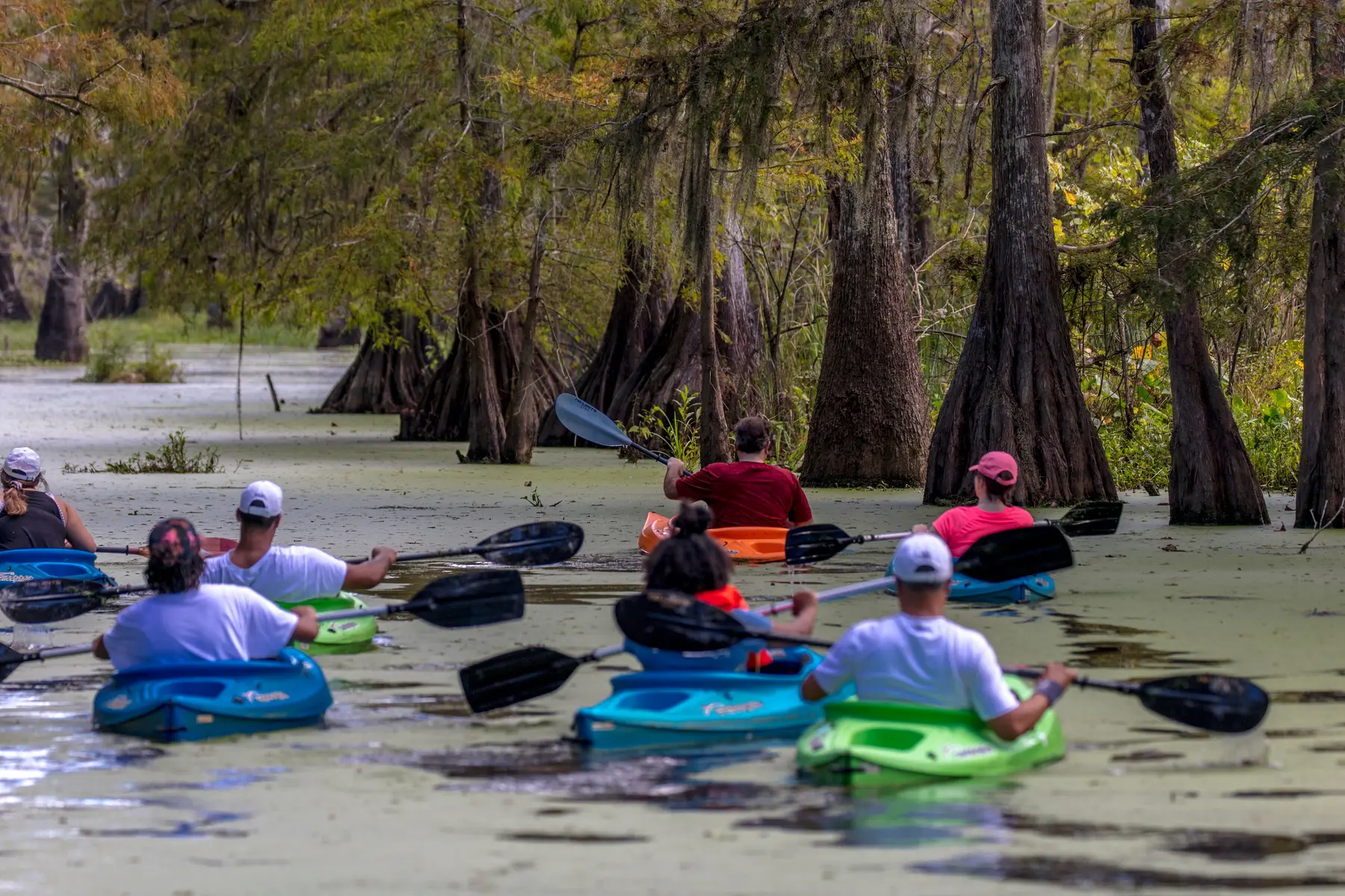 Paddle through Lafayette’s swampland, enjoying picturesque Cypress trees and wildlife along the way.
