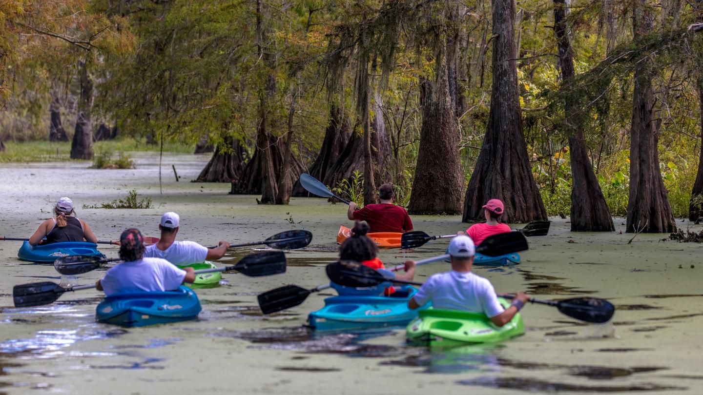Paddle through Lafayette’s swampland, enjoying picturesque Cypress trees and wildlife along the way.