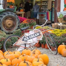Pick your own locally grown produce at Jollay Orchards in Coloma, Michigan (https://www.jollayorchards.com/) (Credit: Discover Southwest Michigan)