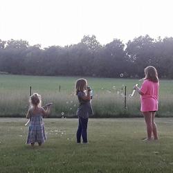 Sunsets along the Salamonie River in Jay County