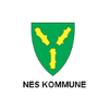 Nes Kommune