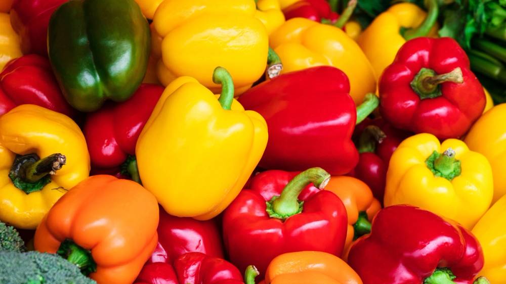 Røde, gule, oransje og grønne paprika.