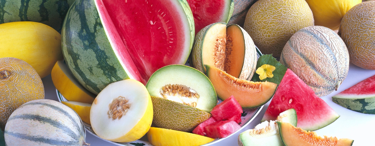 Den store melon-guiden | KIWI