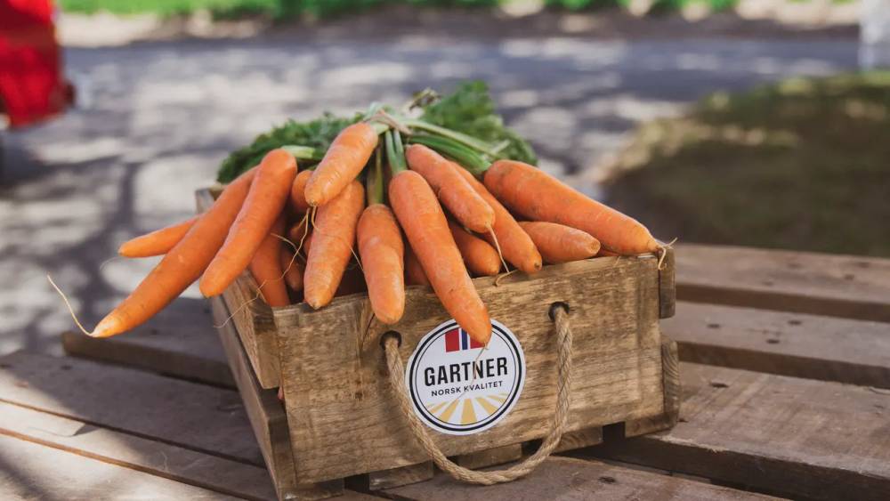 Gartner-eske med gulrotbunter.