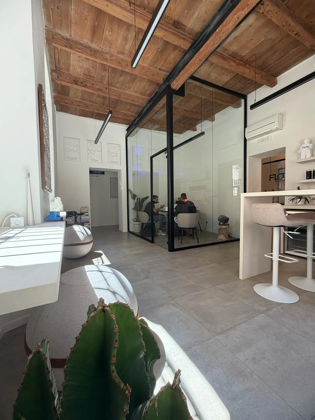 Coworking standing desk e synergy hub