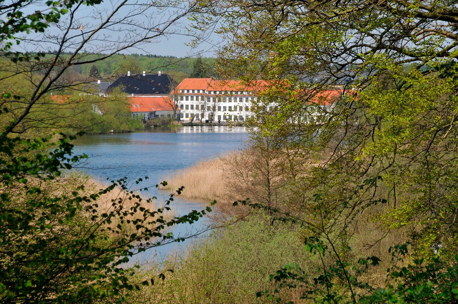 Brede Værks hvide bygninger ved Mølleåen set gennem løvtræer fra den modsatte bred af åen