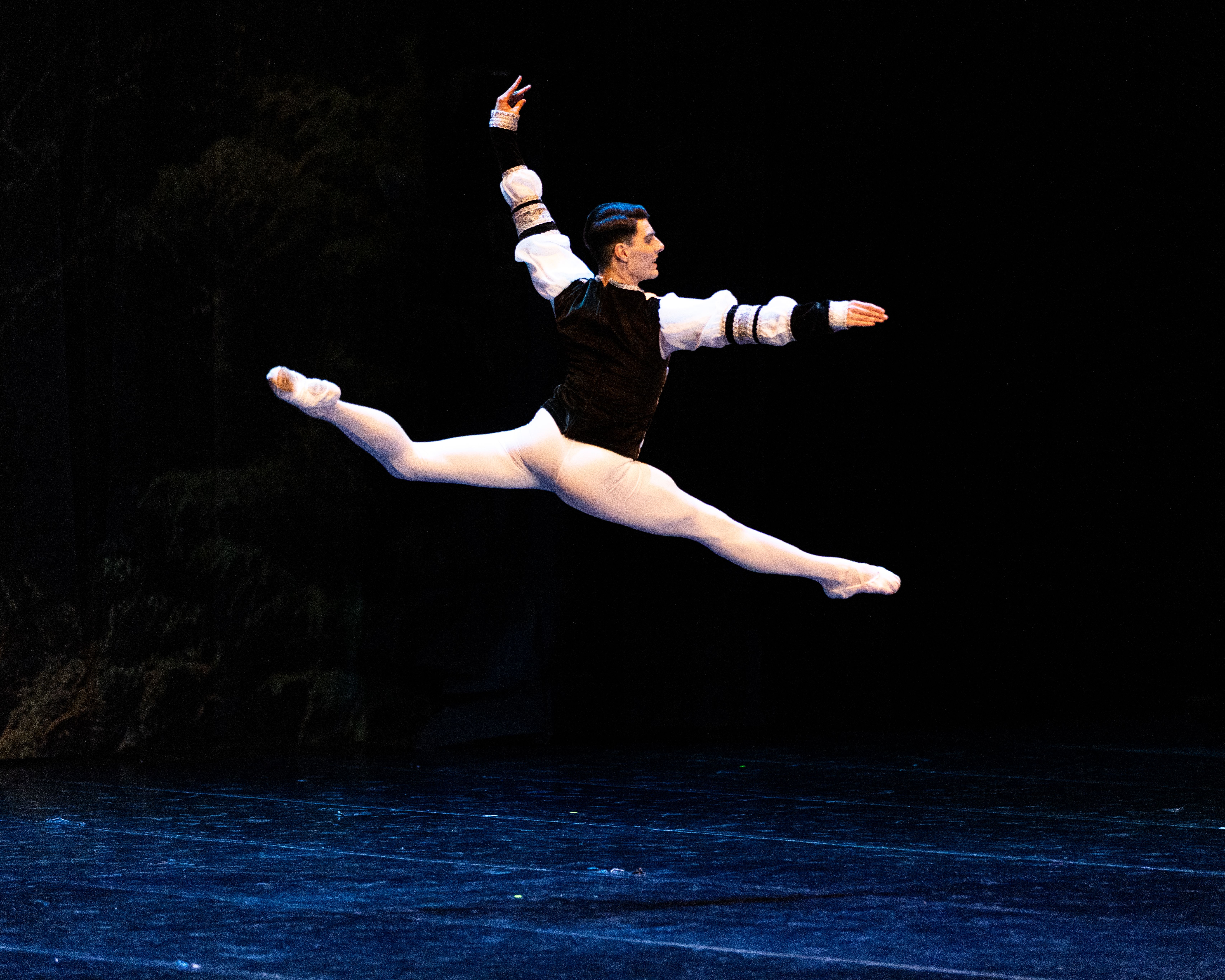 Het Zwanenmeer  - galerij 24