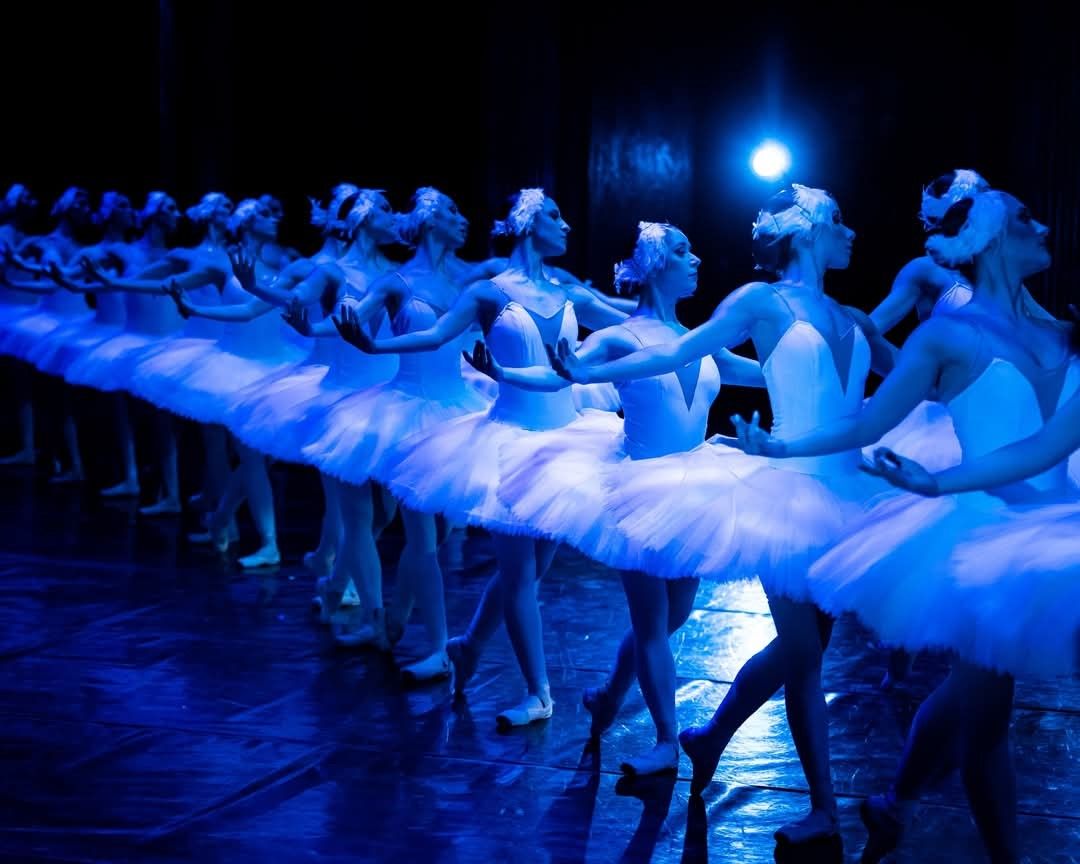 Het Zwanenmeer  - galerij 8