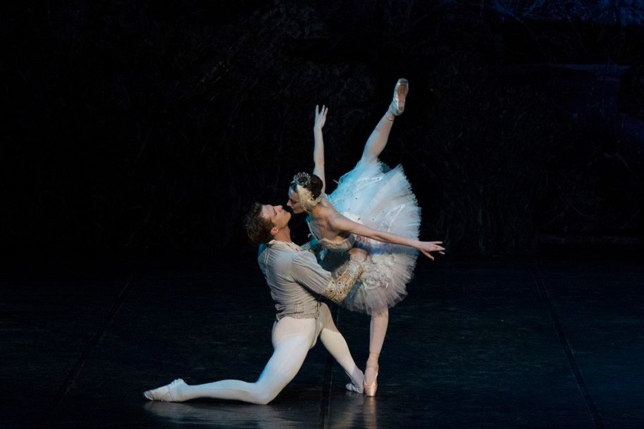 Het Zwanenmeer  - galerij 4