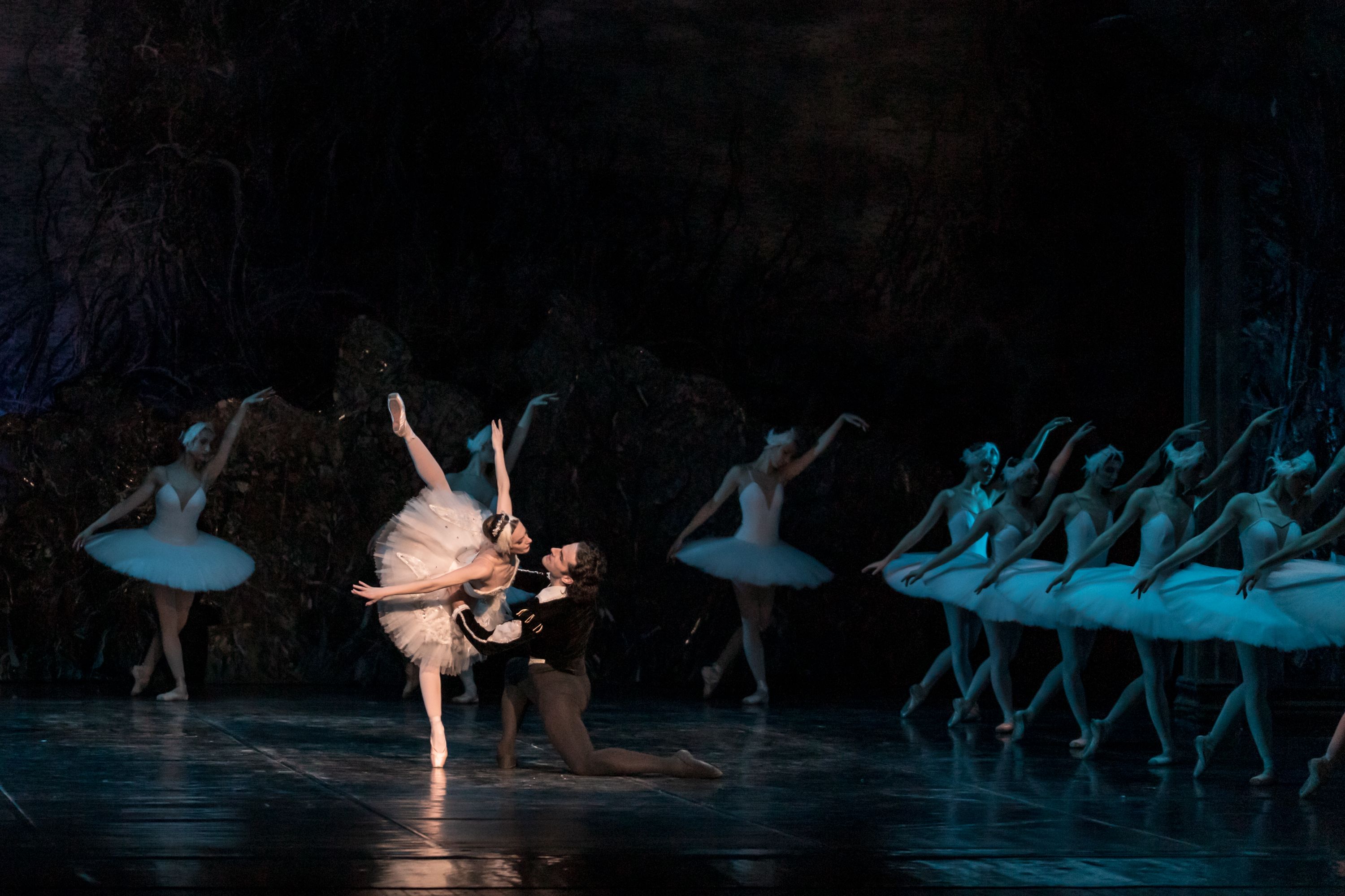 Het Zwanenmeer  - galerij 3