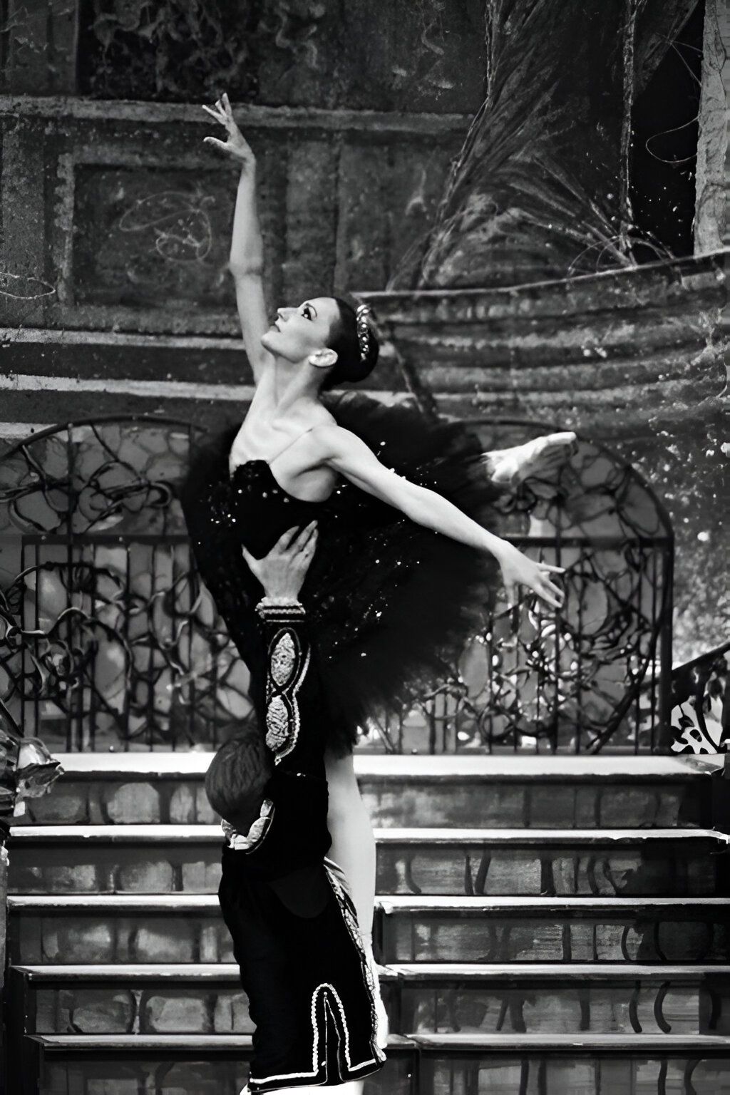 Het Zwanenmeer  - galerij 15