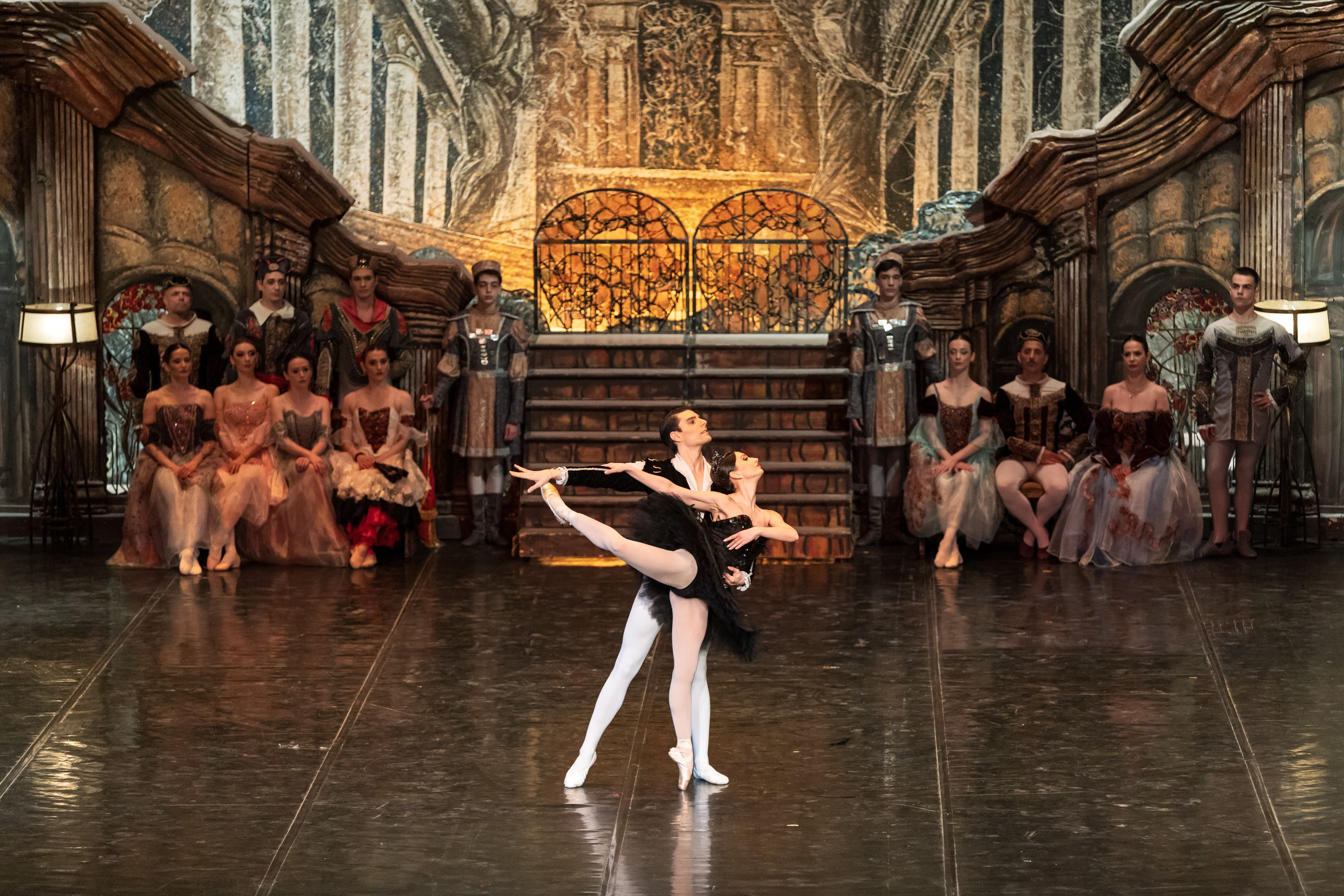 Het Zwanenmeer  - galerij 18