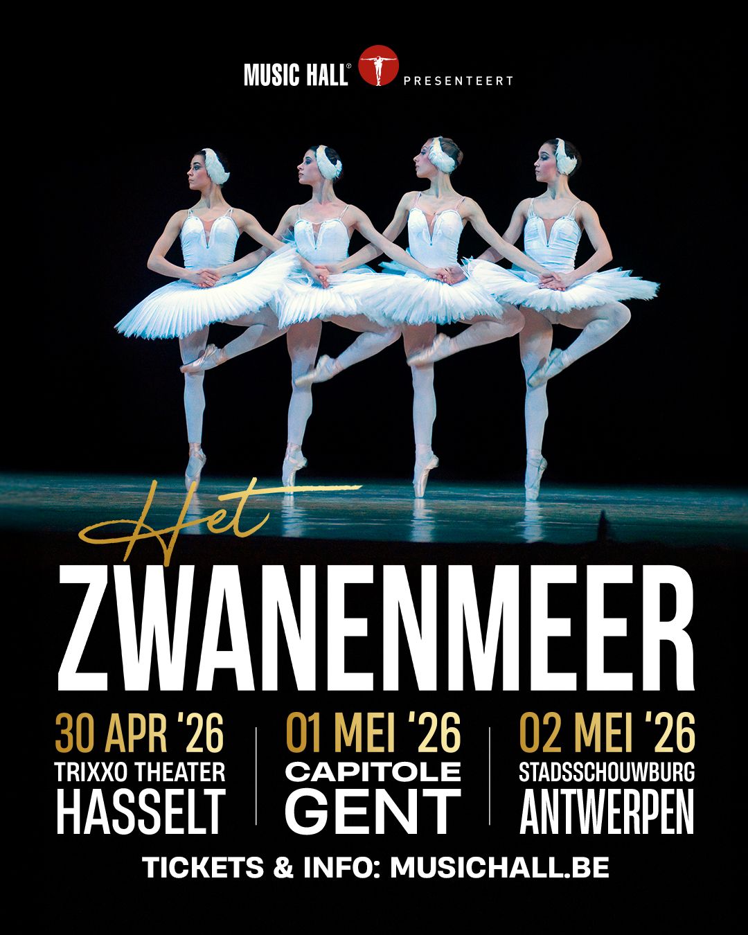 Het Zwanenmeer
