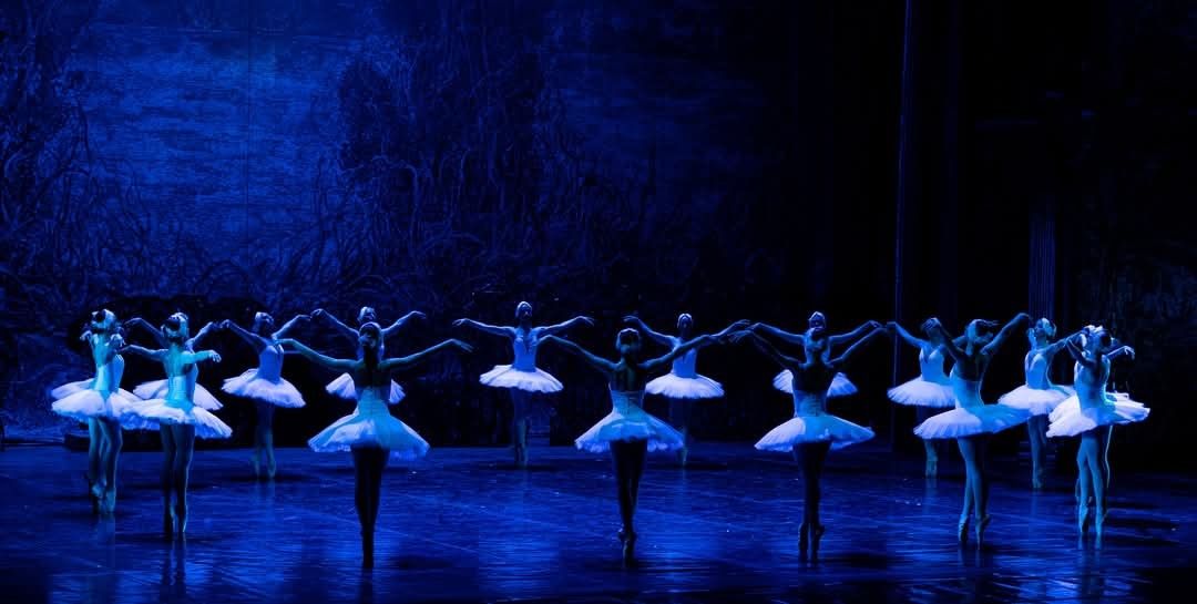 Het Zwanenmeer  - galerij 13