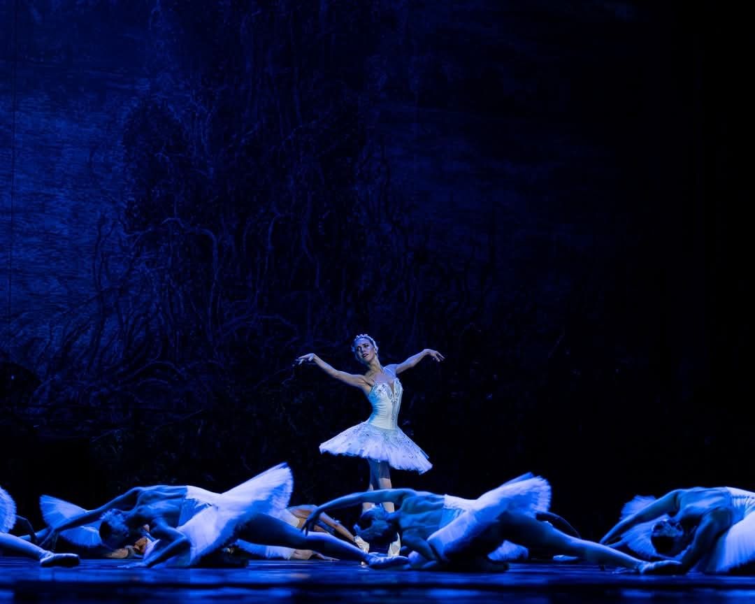 Het Zwanenmeer  - galerij 5