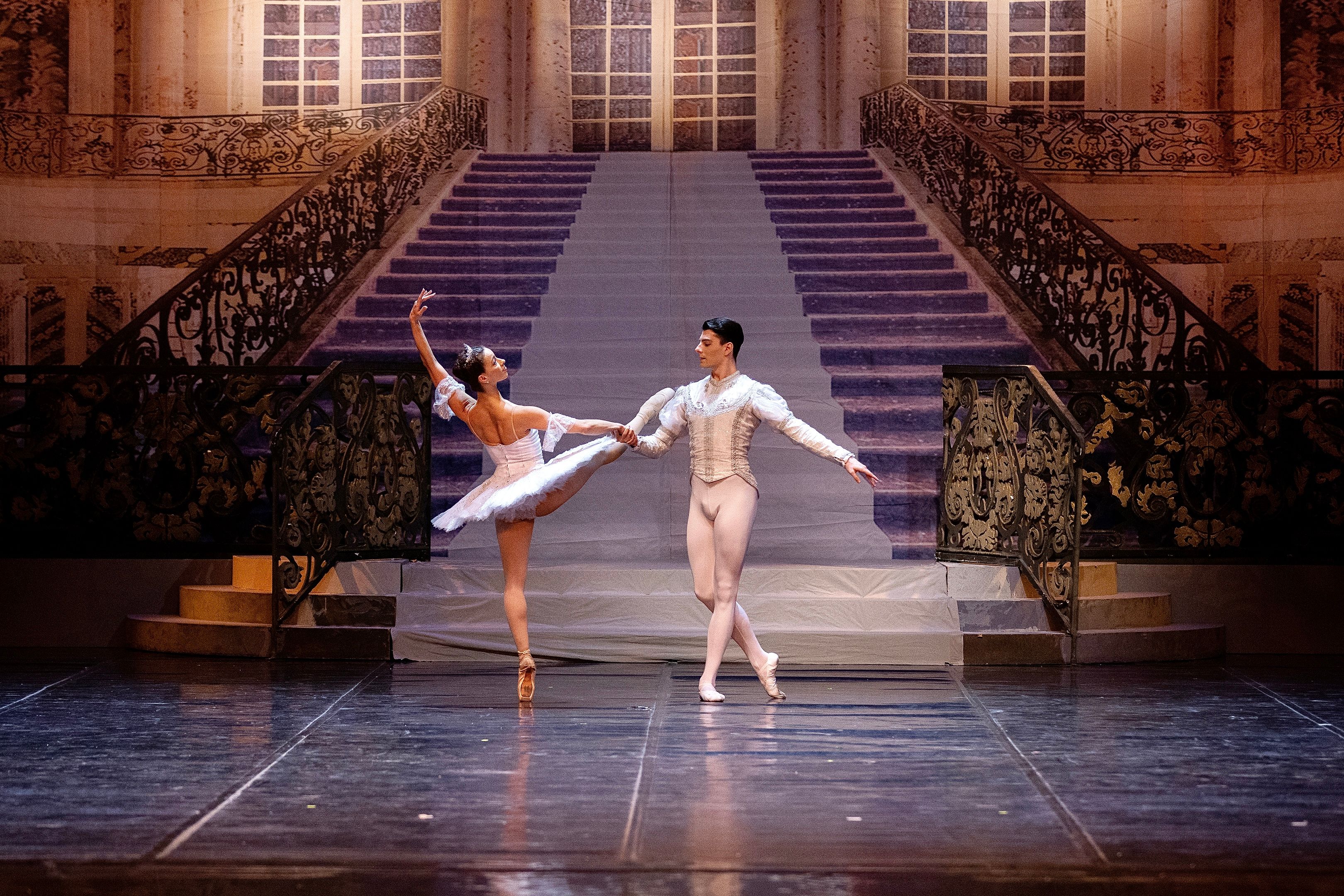 Het Zwanenmeer  - galerij 22