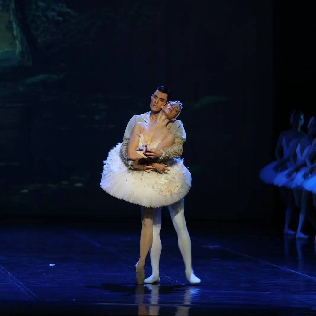 Het Zwanenmeer  - galerij 11