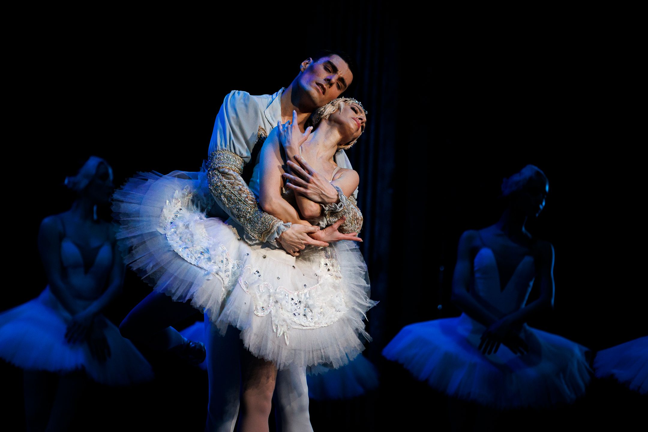 Het Zwanenmeer  - galerij 21