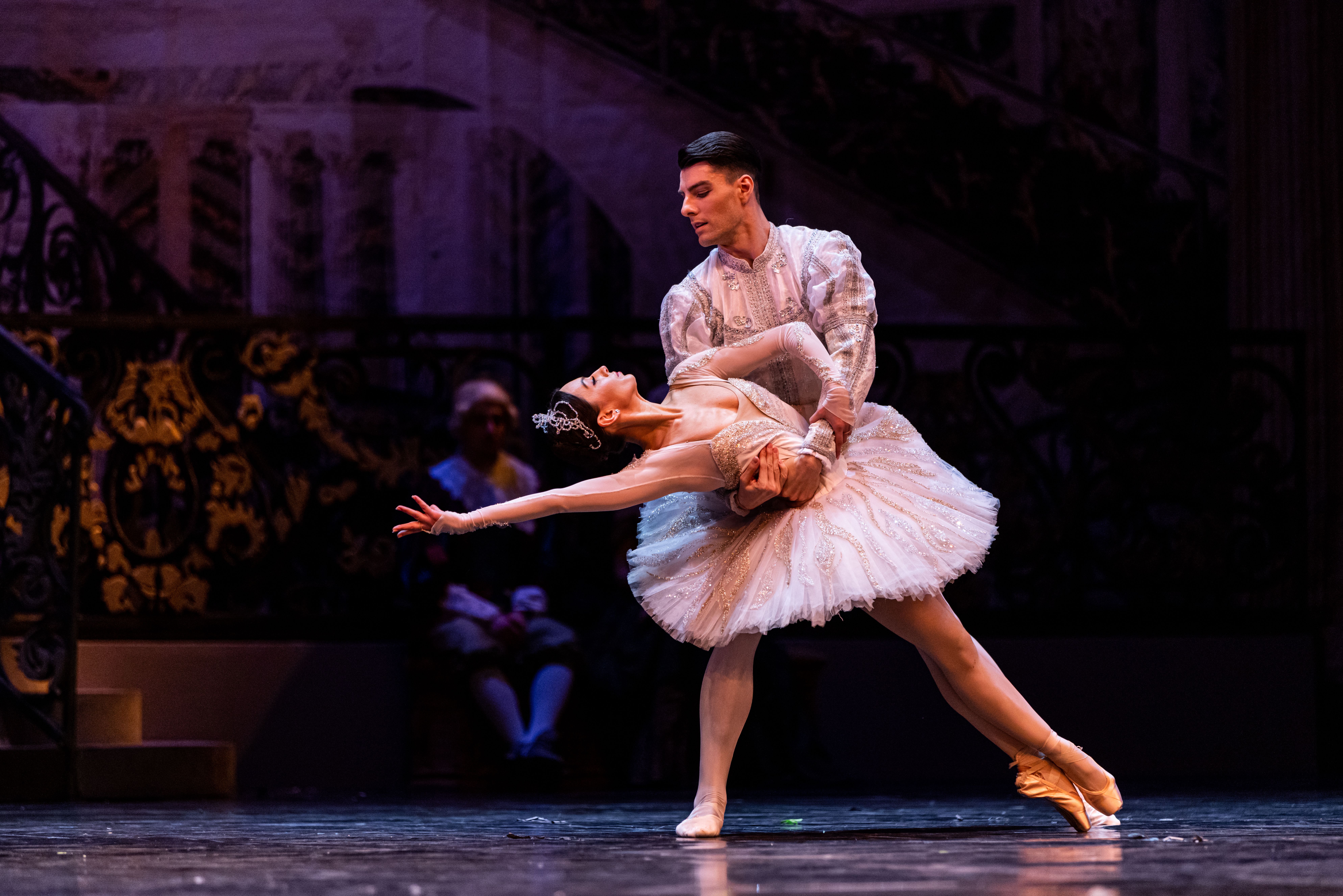 Het Zwanenmeer  - galerij 25