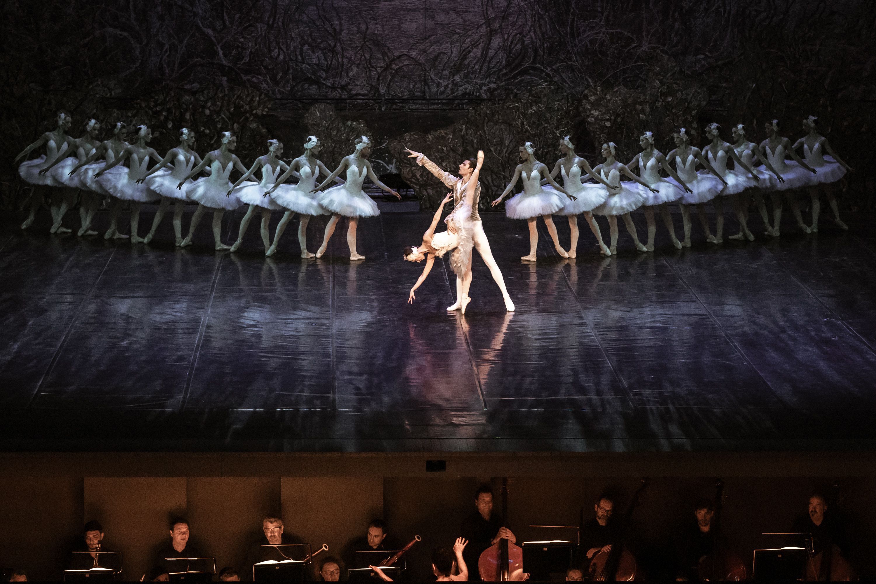 Het Zwanenmeer  - galerij 16