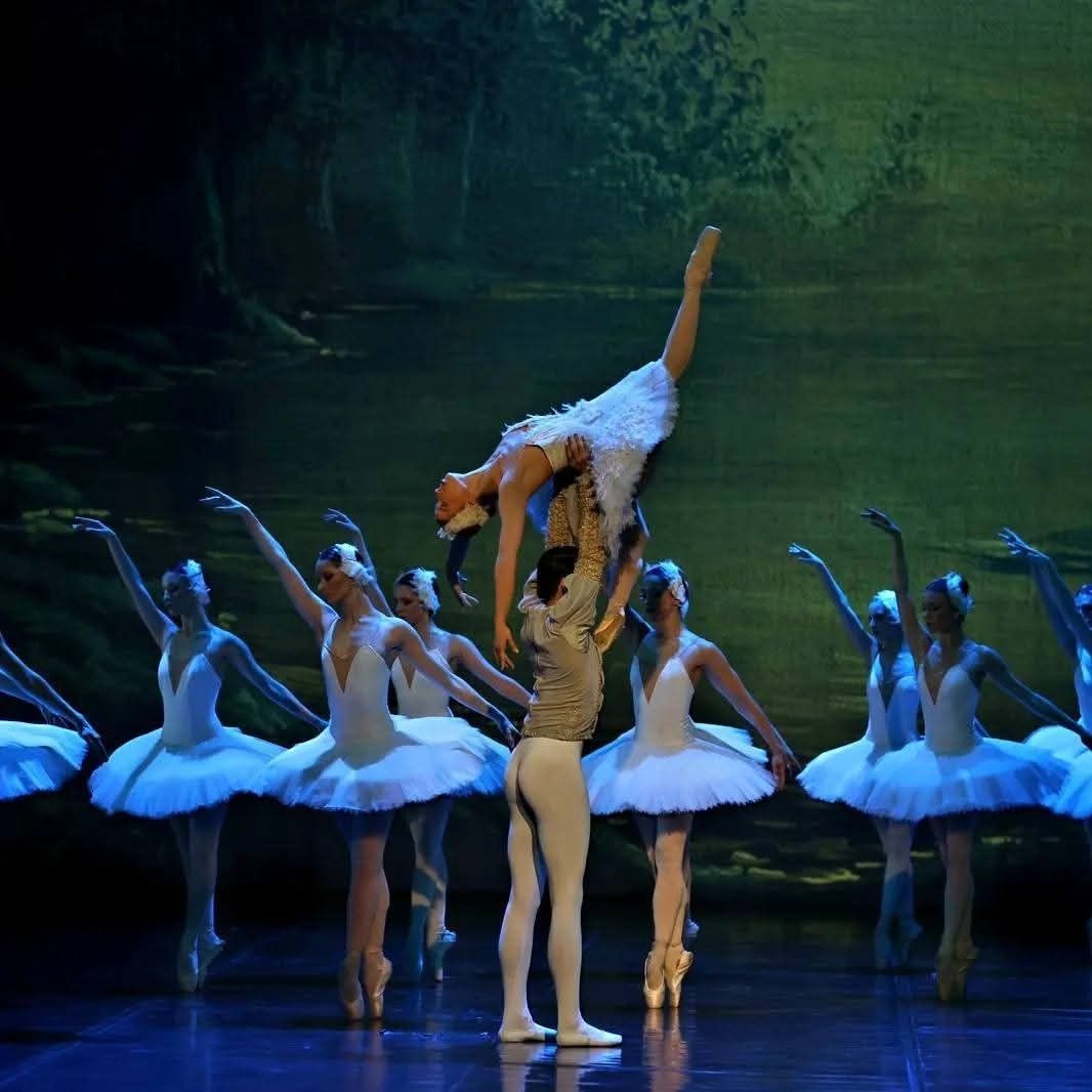 Het Zwanenmeer  - galerij 14