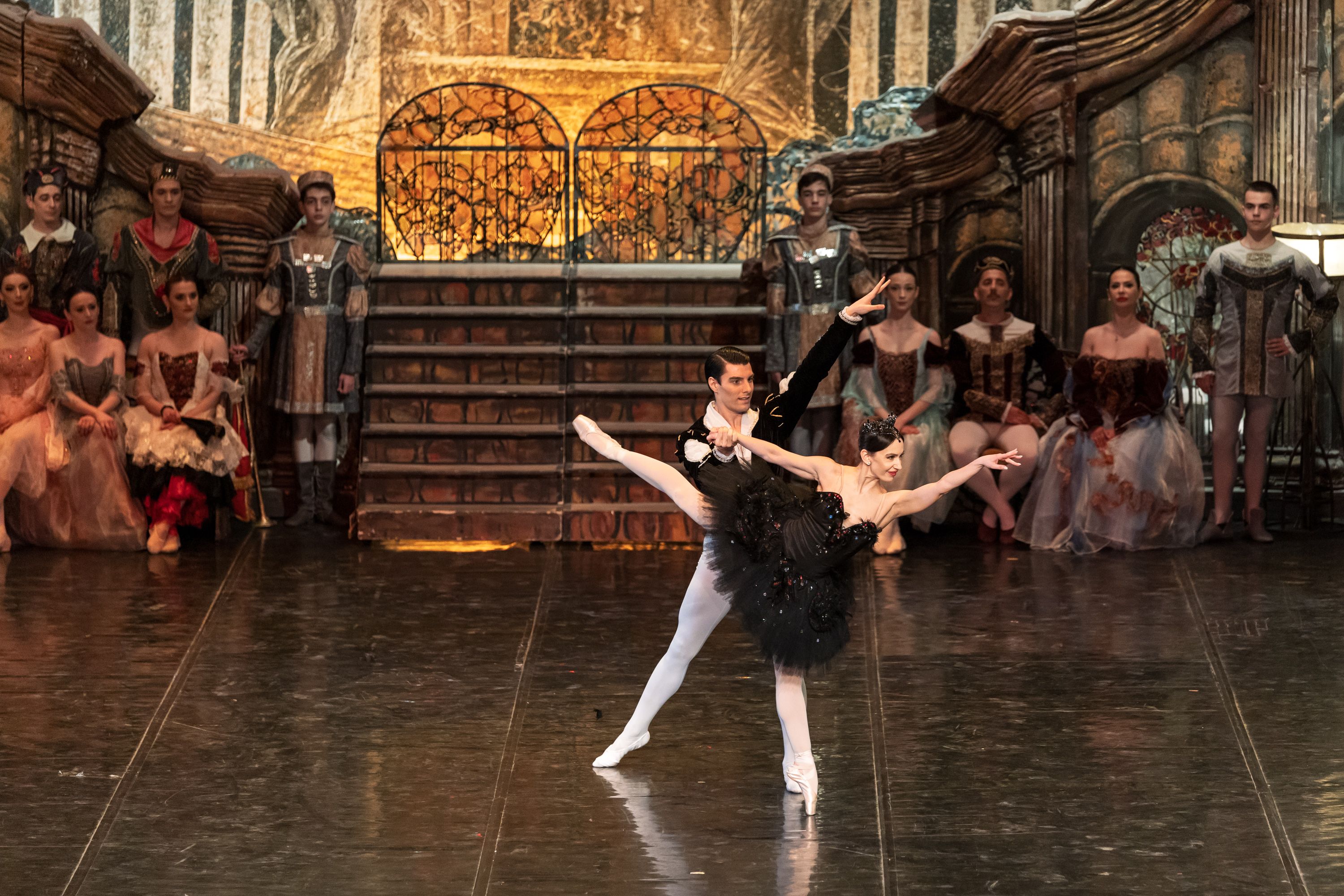 Het Zwanenmeer  - galerij 17