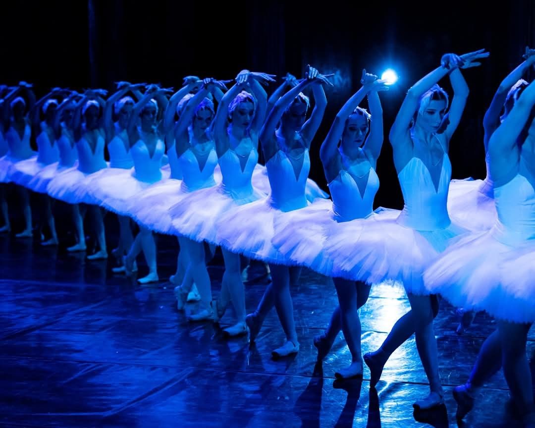 Het Zwanenmeer  - galerij 7