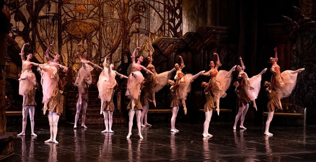 Het Zwanenmeer  - galerij 6