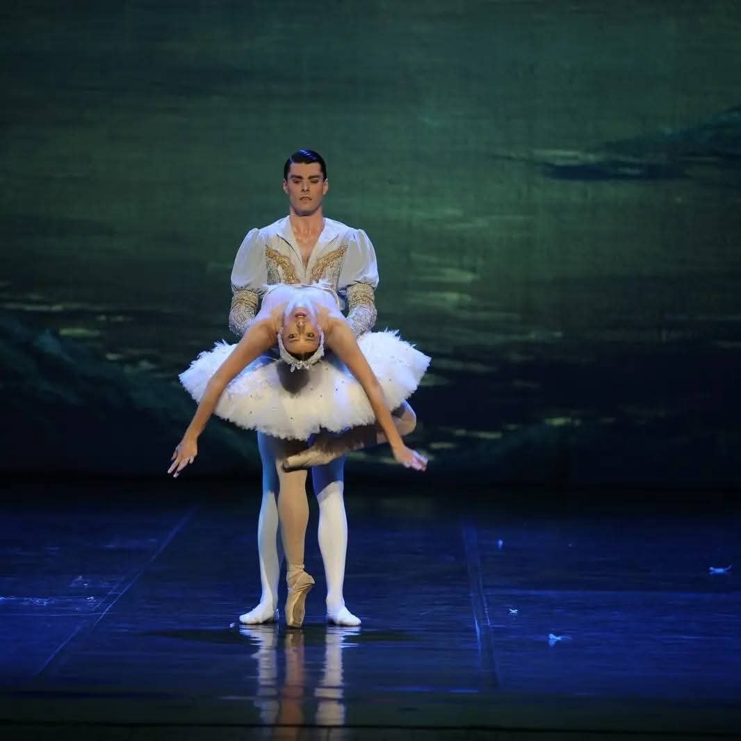 Het Zwanenmeer  - galerij 12